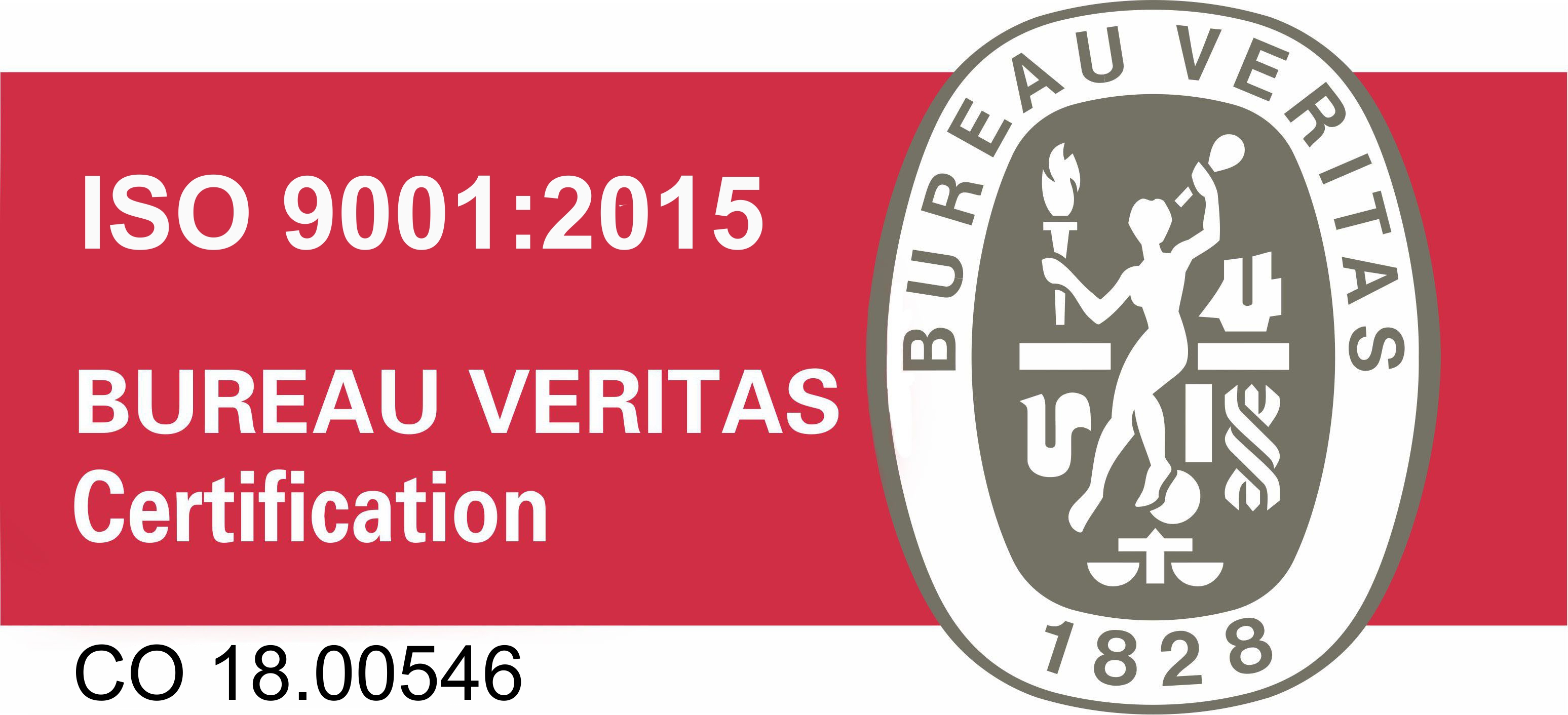 Logo Bureau Veritas